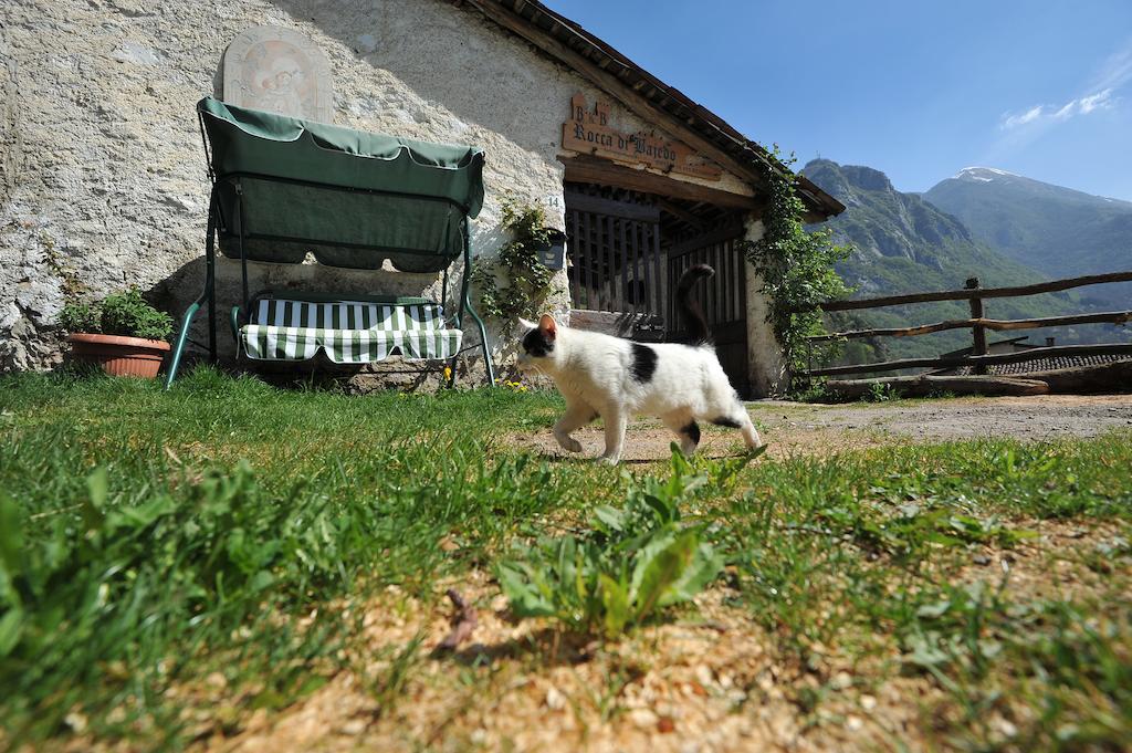 B&B Rocca Di Bajedo Pasturo Exteriör bild